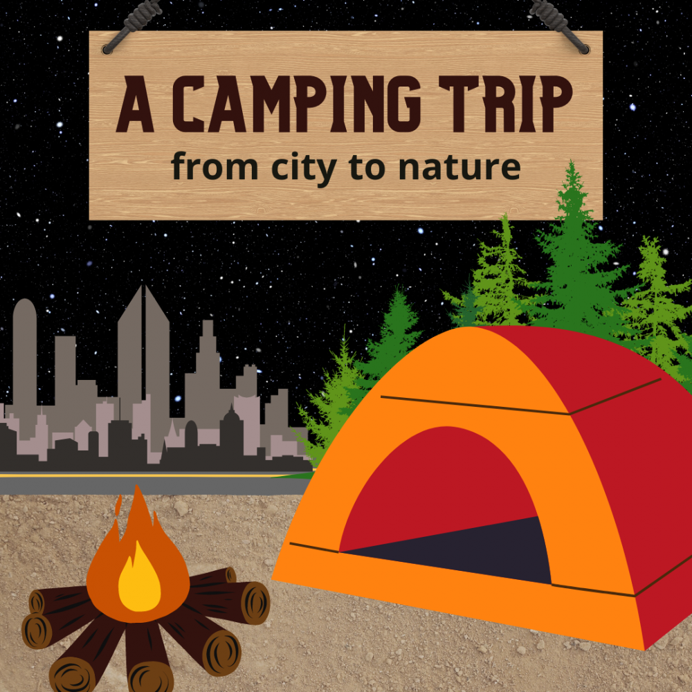 Cover image of the A Camping Trip: From City to Nature story.