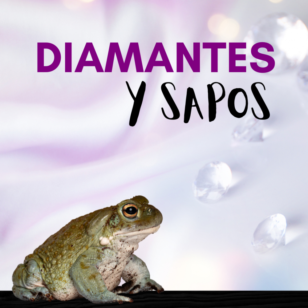 Cover image of the Diamantes y sapos story.