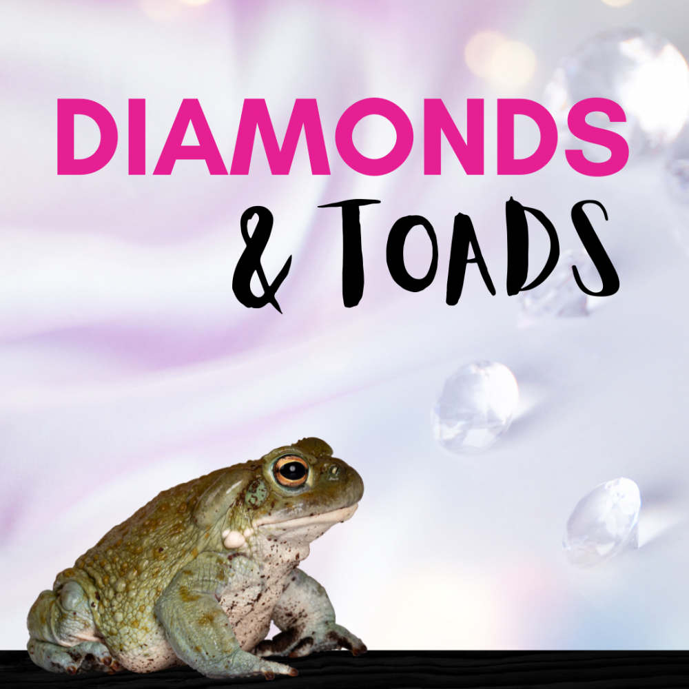 Cover image of the Diamonds and Toads story.