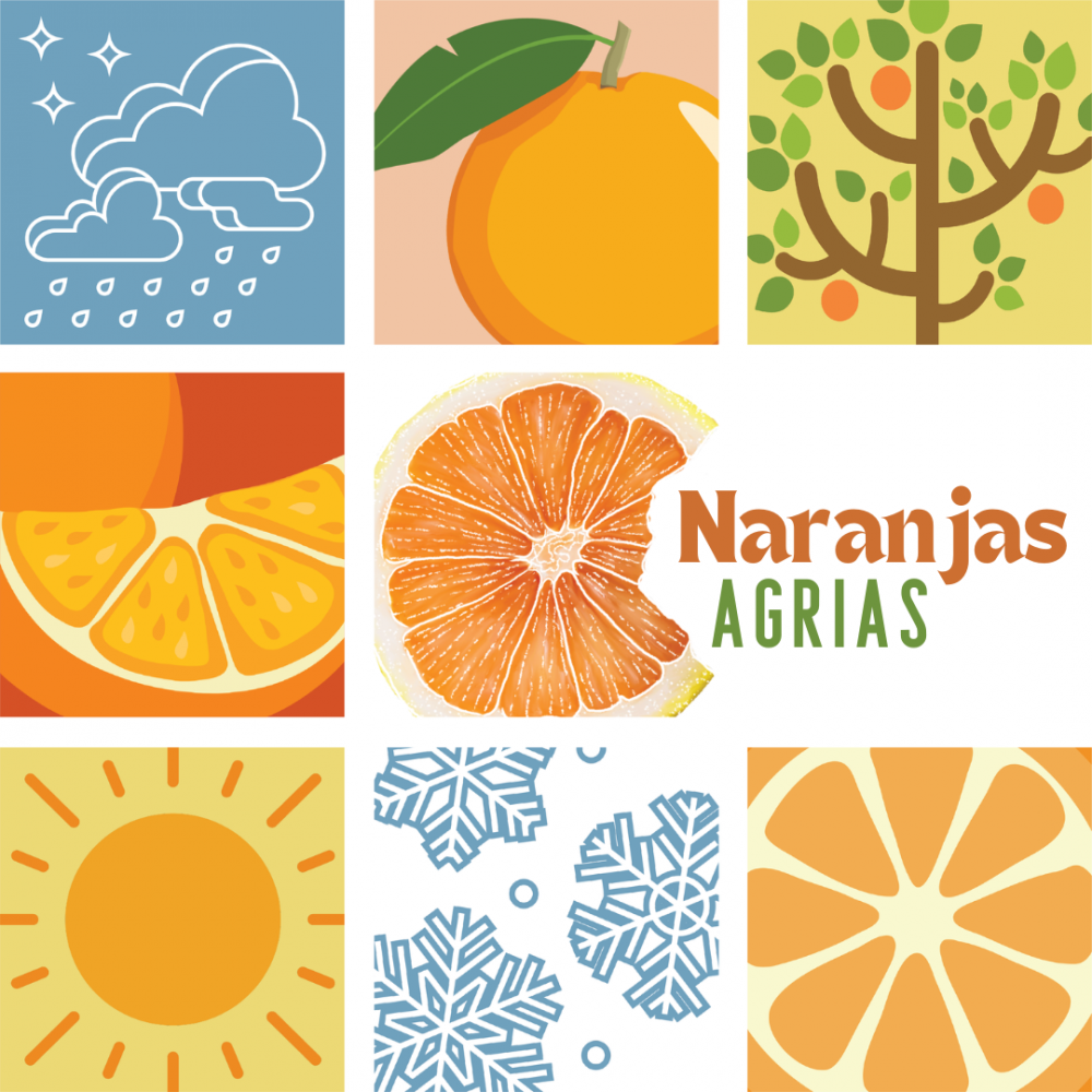 Cover image of the Naranjas agrias story.