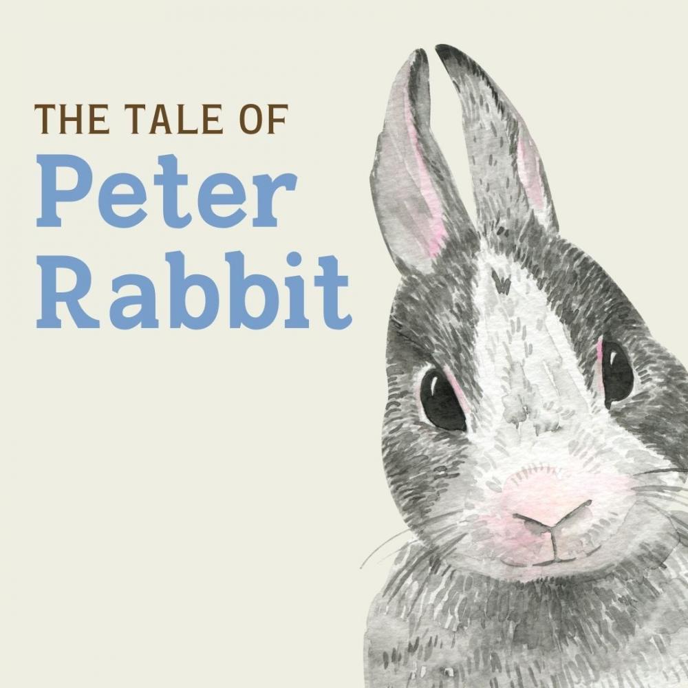 Cover image of the The Tale of Peter Rabbit story.