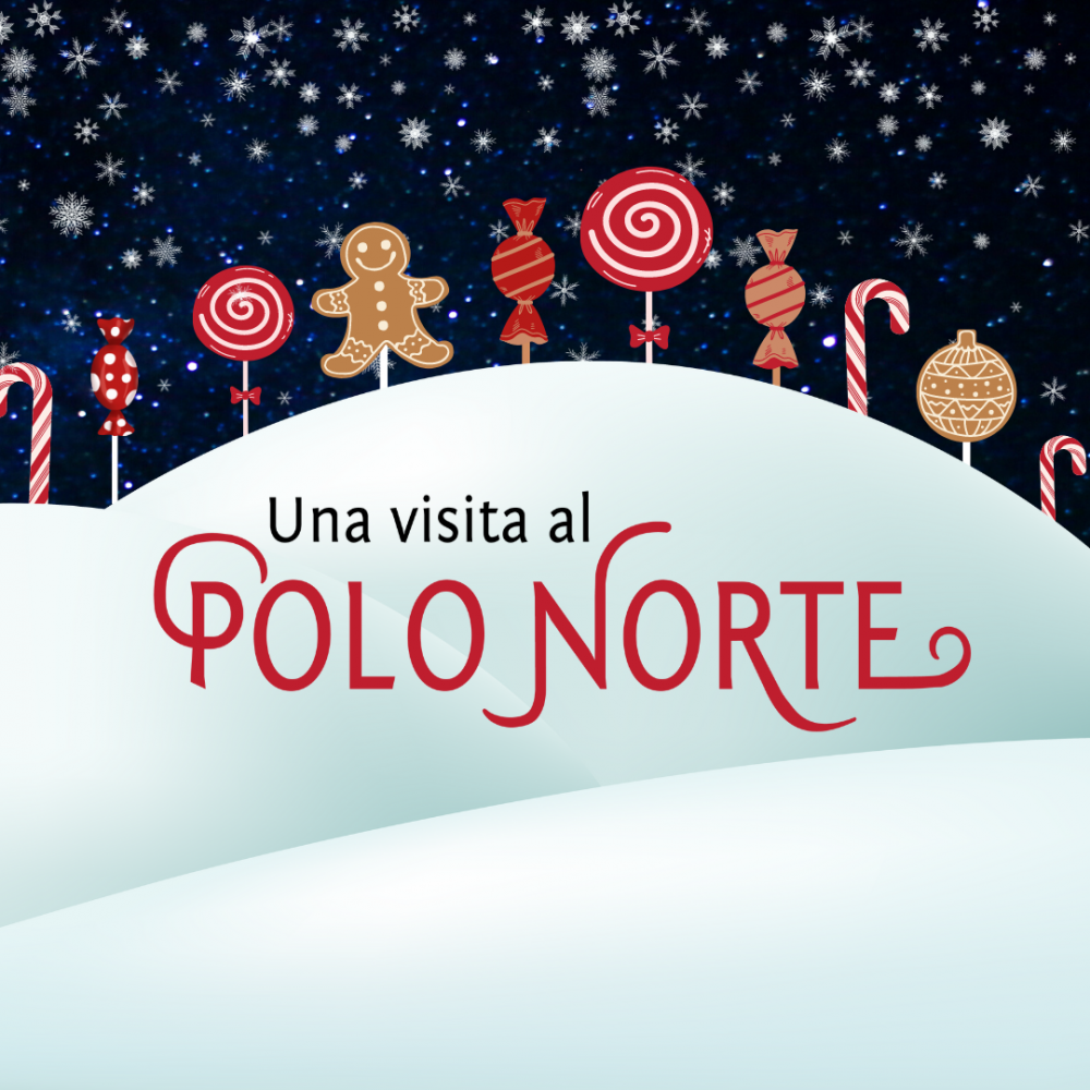 Cover image of the Una visita al Polo Norte story.