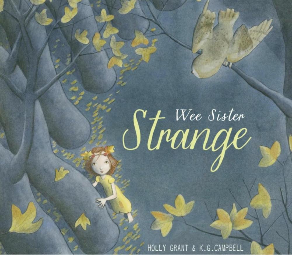 Cover image of the Wee Sister Strange story.