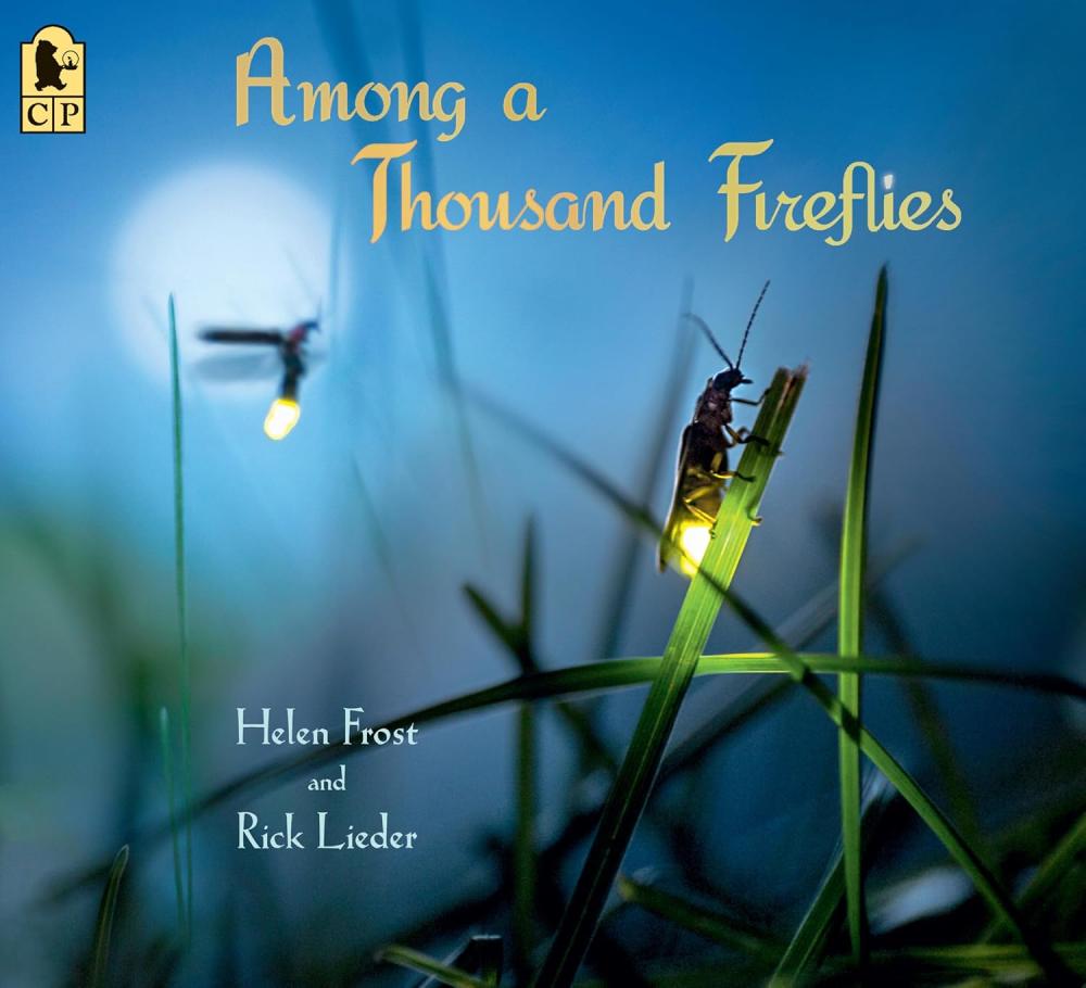 Cover image of the Among a Thousand Fireflies story.
