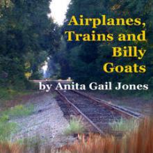 A train track and weeds are in the foreground. In the background, large trees bend over the train tracks. 