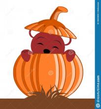 Bear inside pumpkin