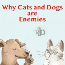 The head of a cartoon dog faces the head of an angry-looking cartoon cat. Image by storynory.com.