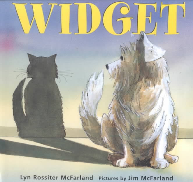 Cover image of the Widget story.